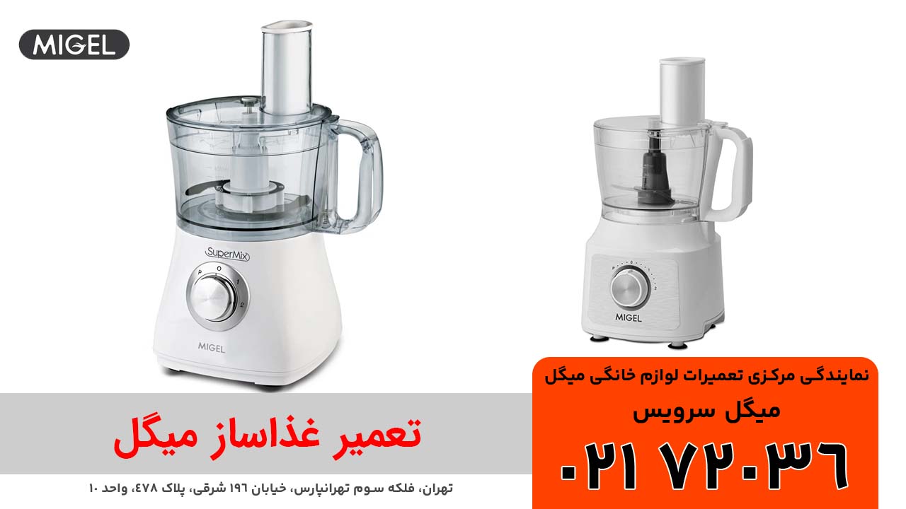 تعمیرات غذاساز میگل