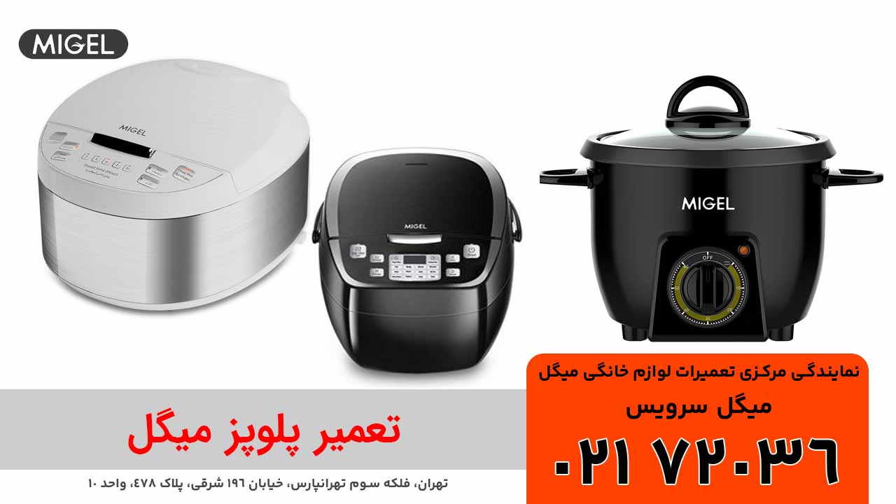 تعمیر پلوپز میگل