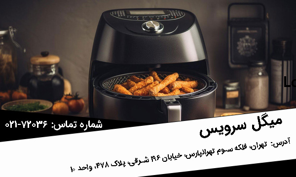 تعمیر سرخ کن میگل